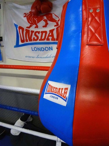 Boxing & mma teardrop bag robina gold coast