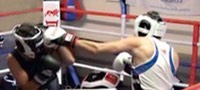 boxing sparring robina