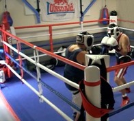boxing mma sparring training robina